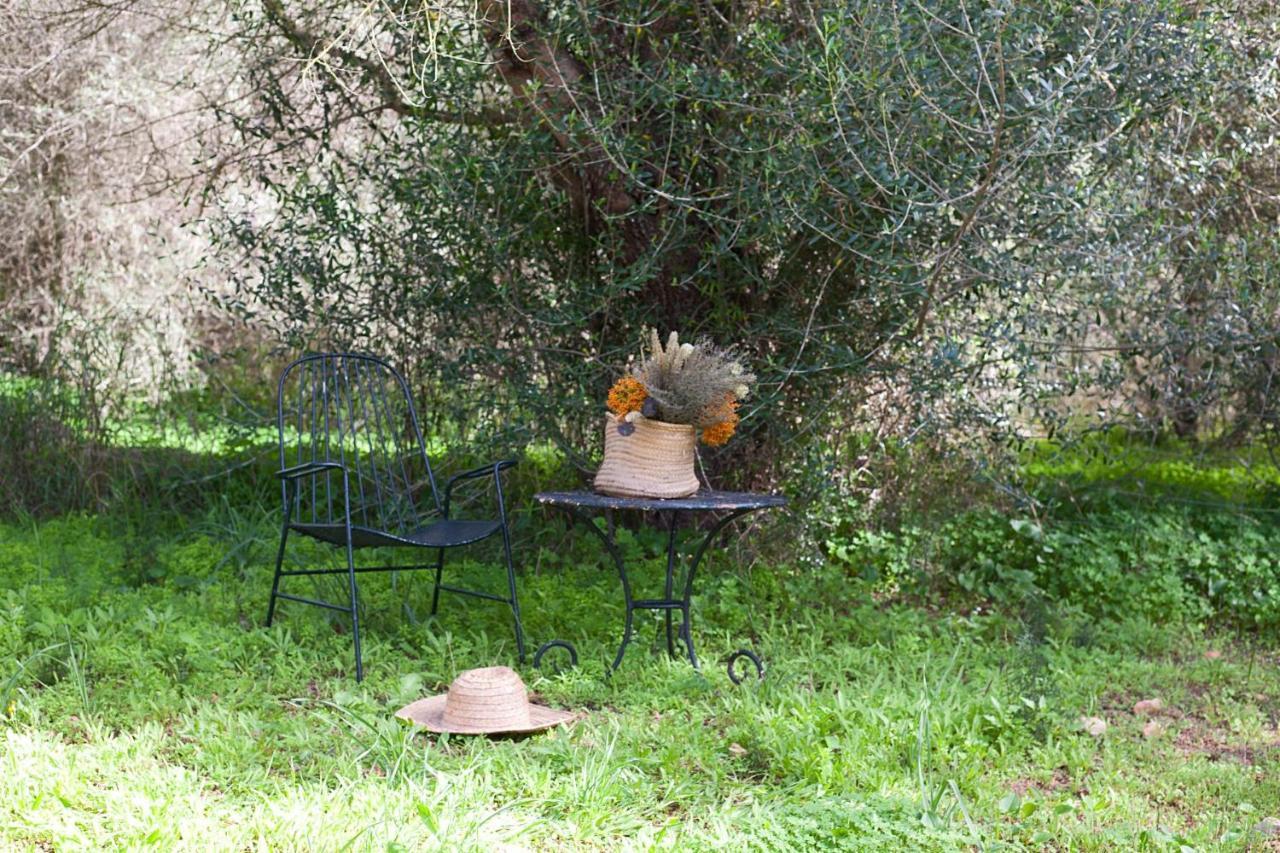 Finca Son Sureda Agroturismo Манакор Екстериор снимка